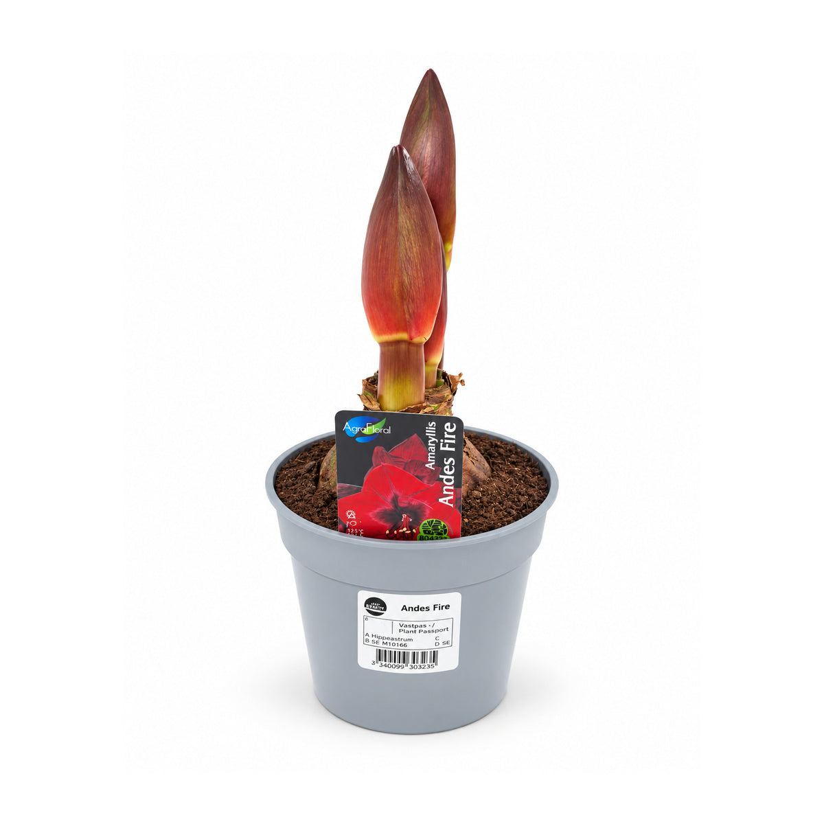 Andes Fire silver Ean 7340099303235