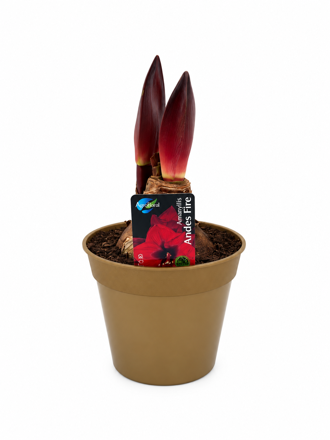 Andes Fire jumbo Ean 7340099303143